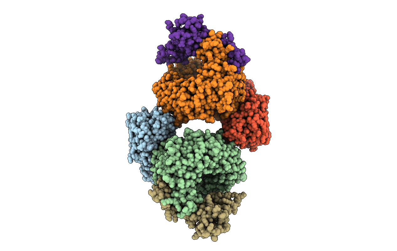 5HZG image