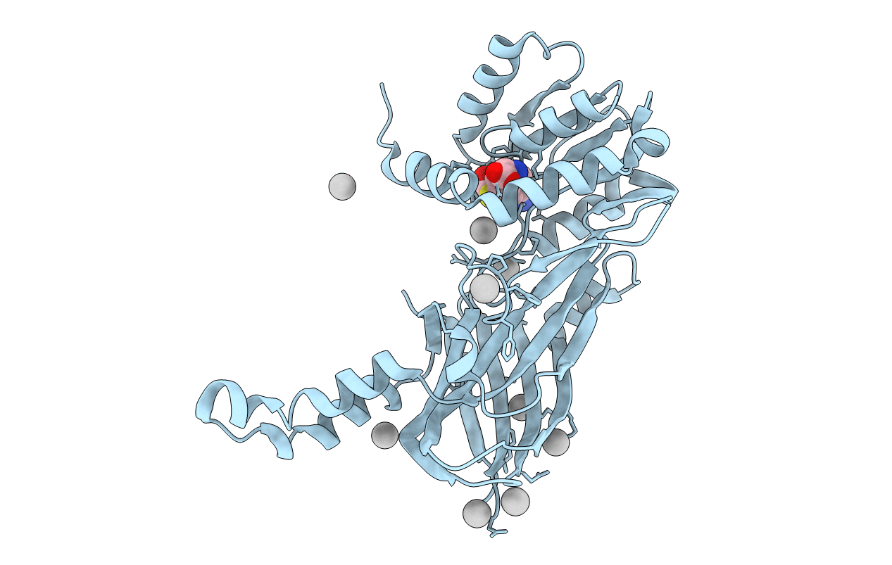 5HZM image