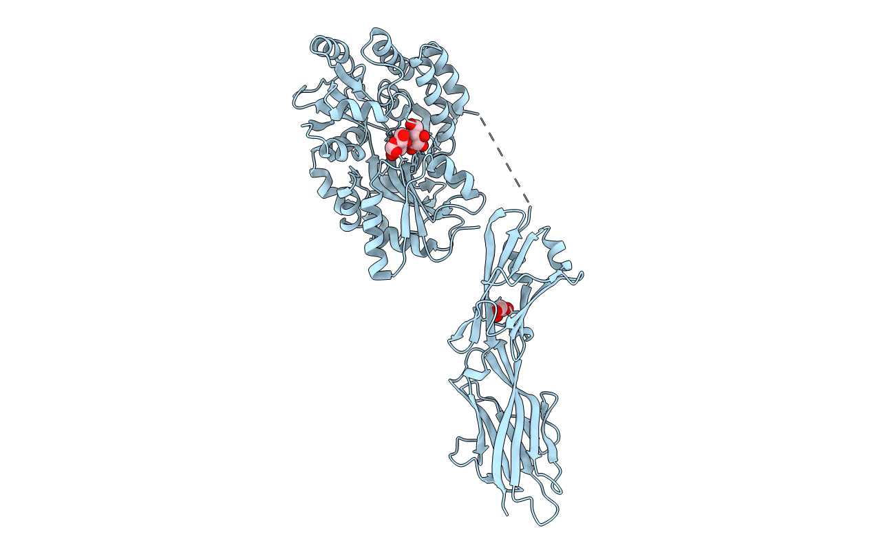 5HZV image