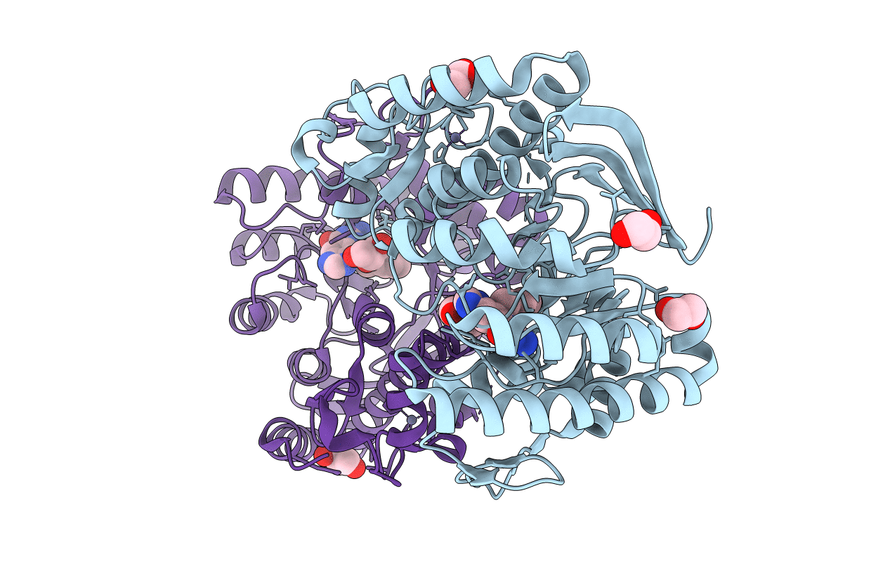 5I07 image
