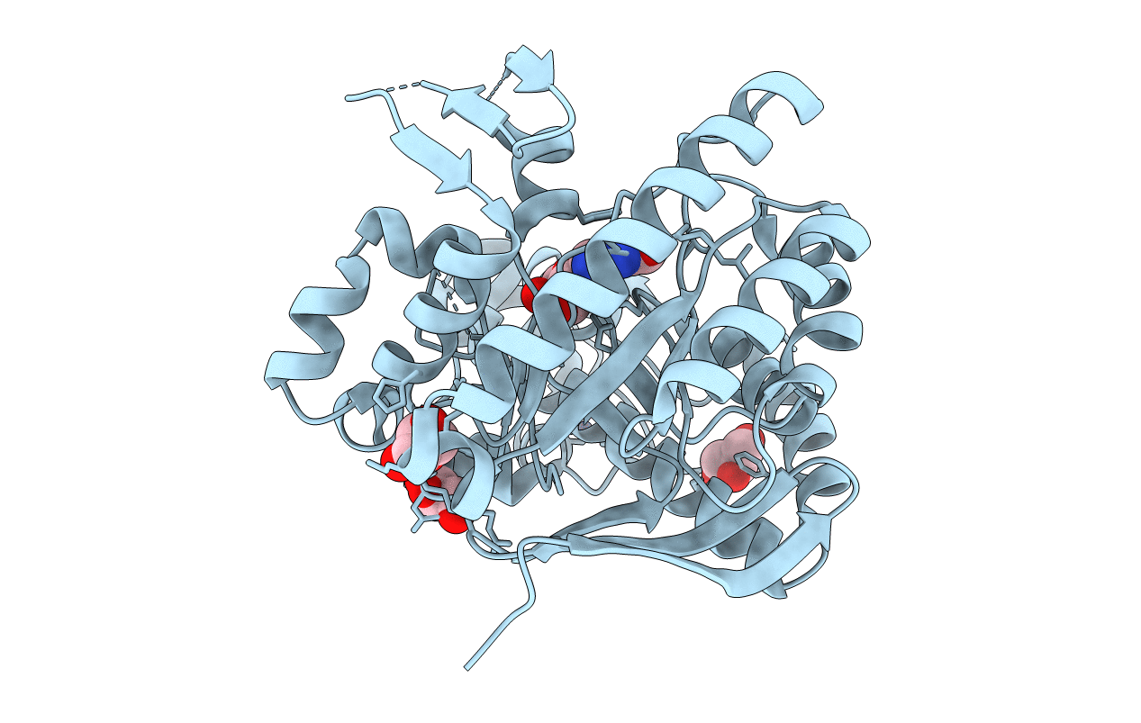 5I09 image