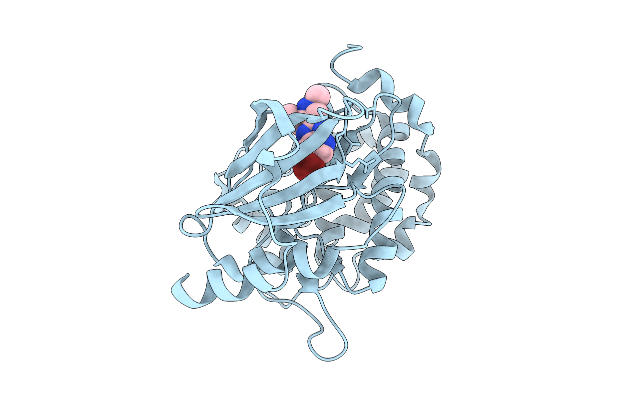 5I0B image