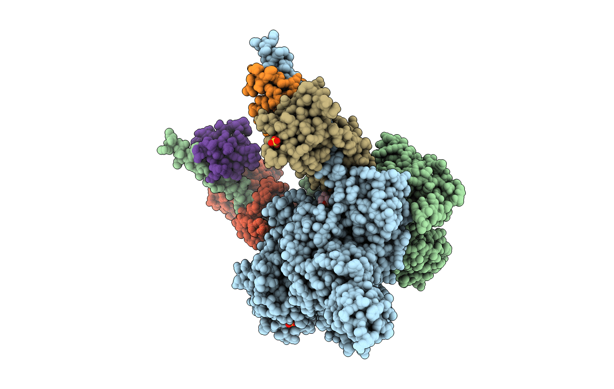 5I0I image