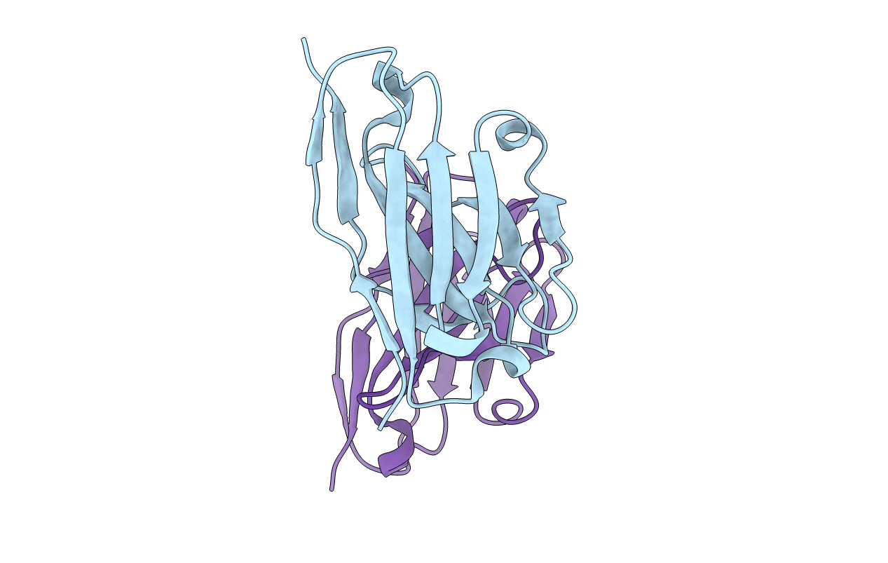 5I0Z image