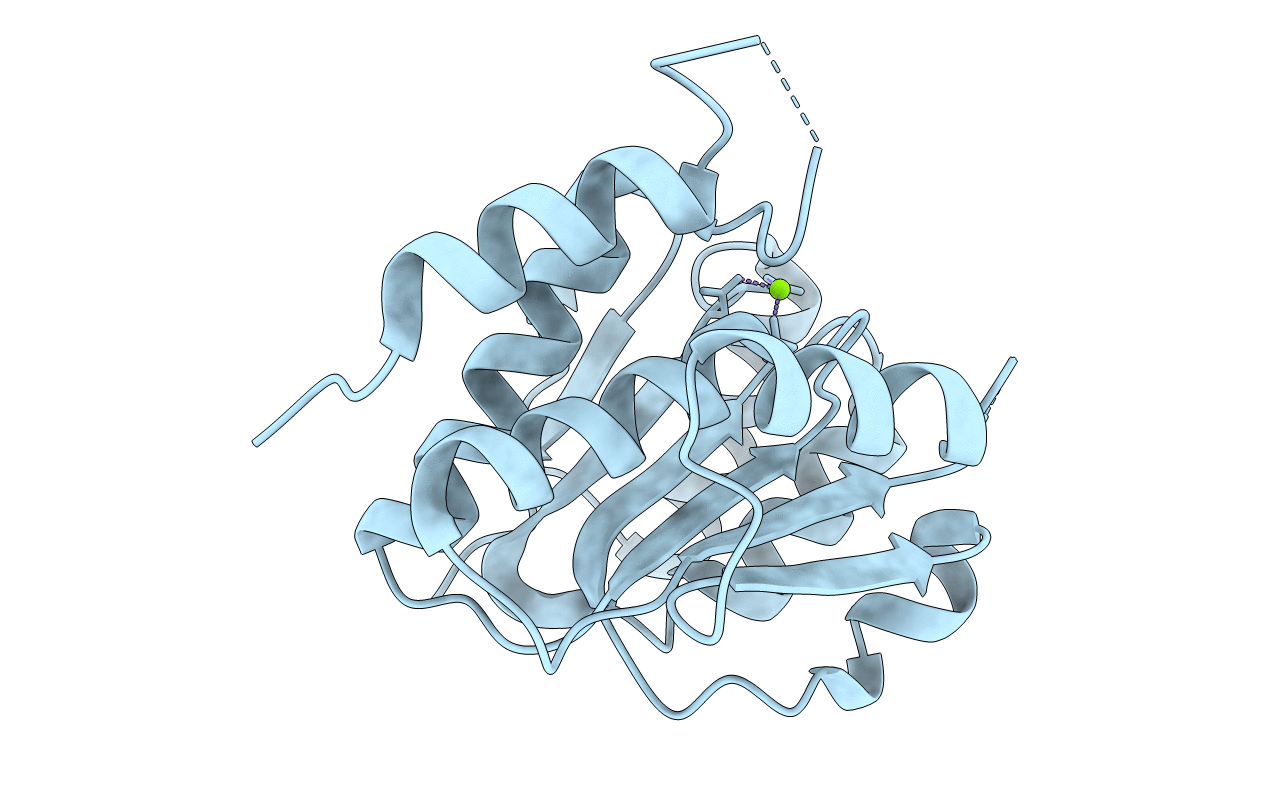5I10 image
