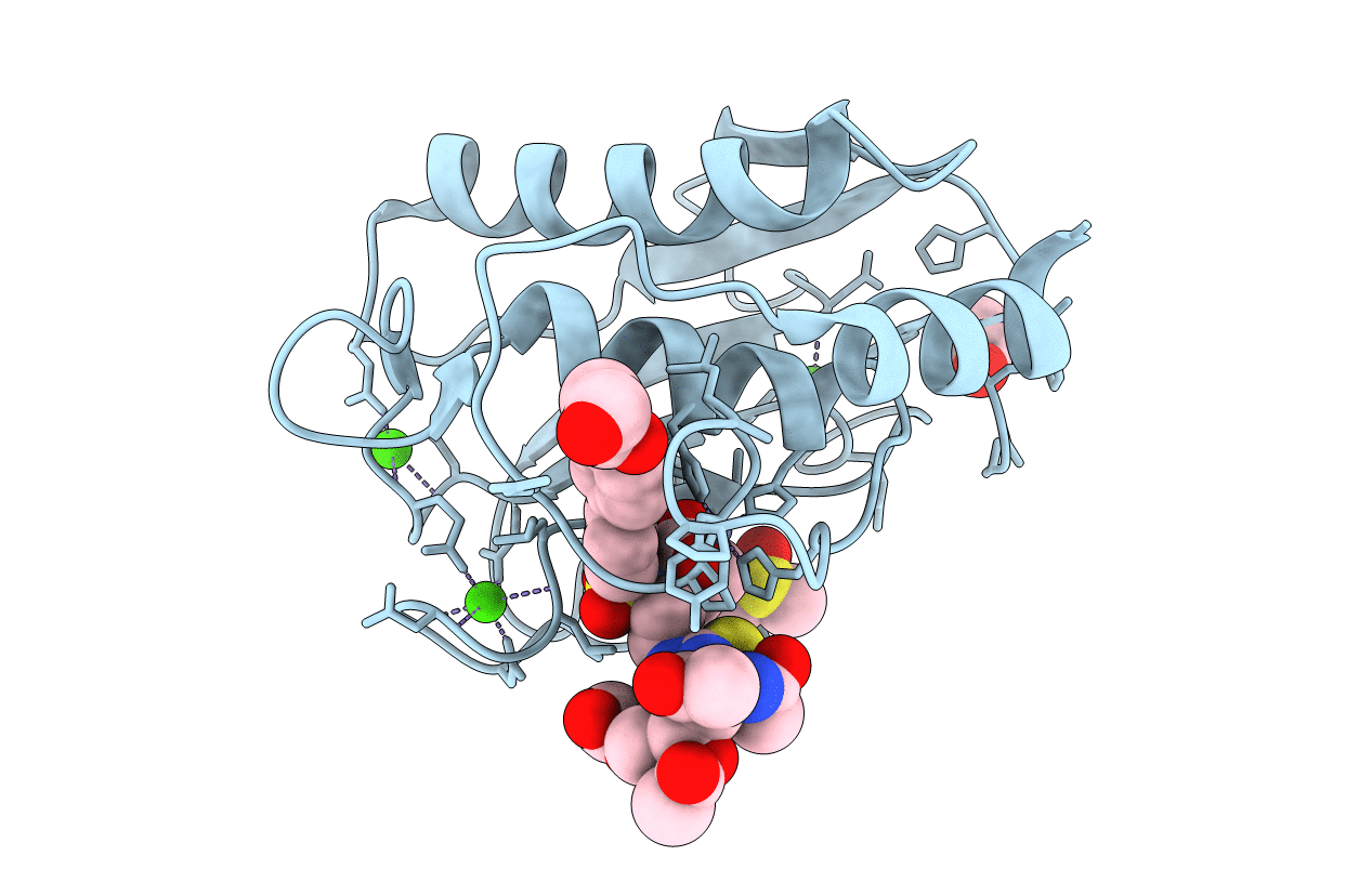 5I12 image