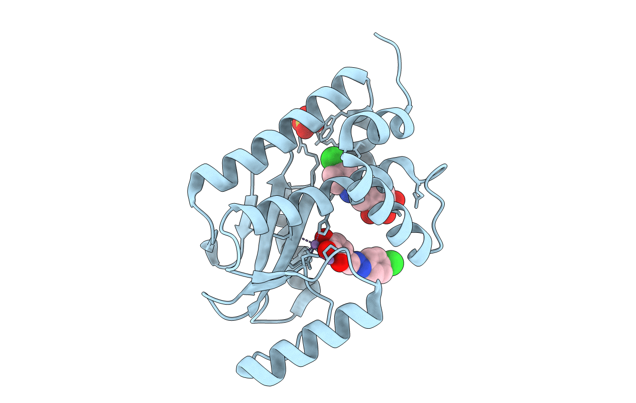 5I13 image