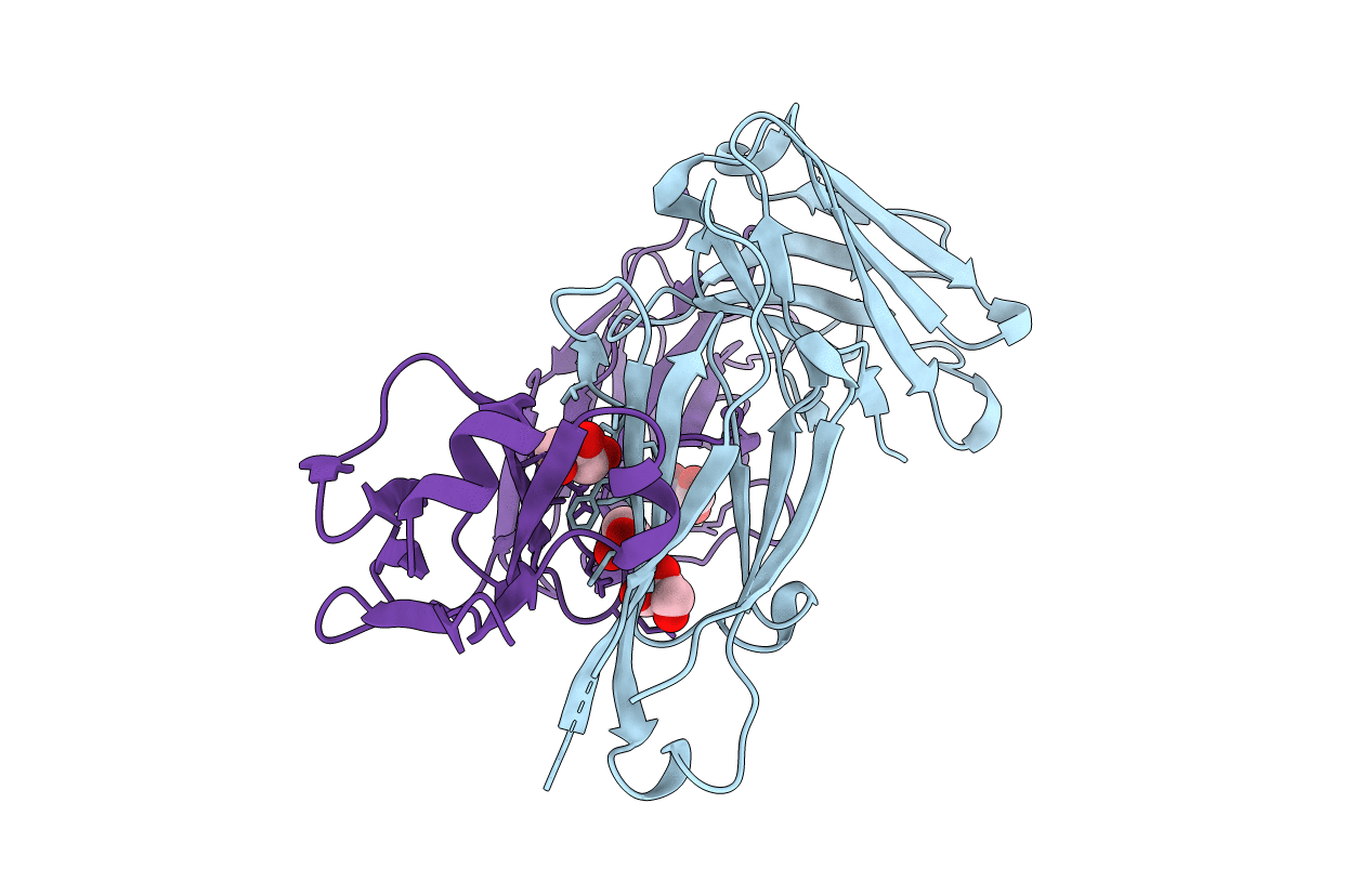 5I18 image