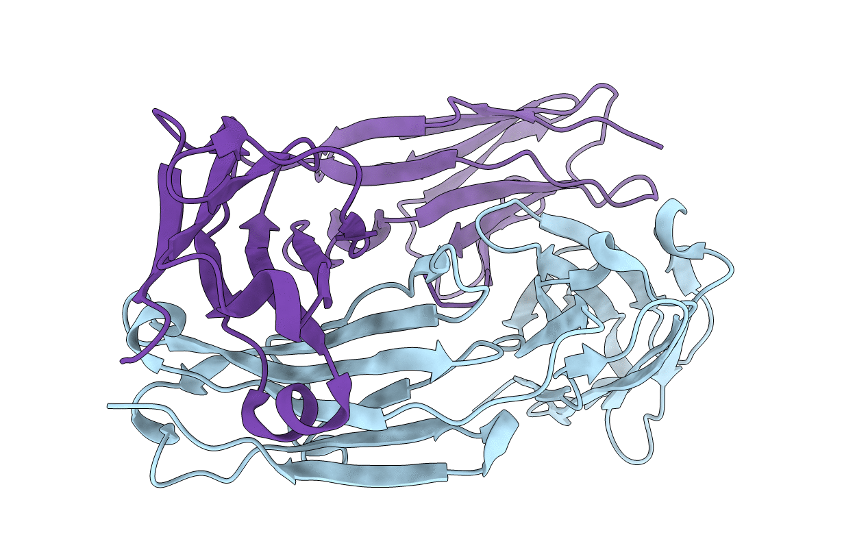 5I19 image