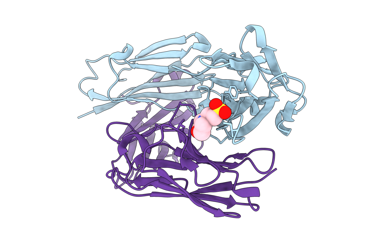 5I1C image