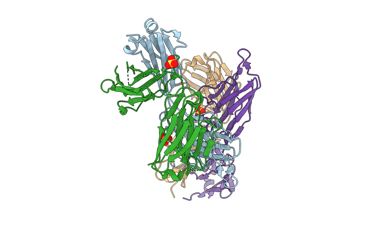 5i1D image