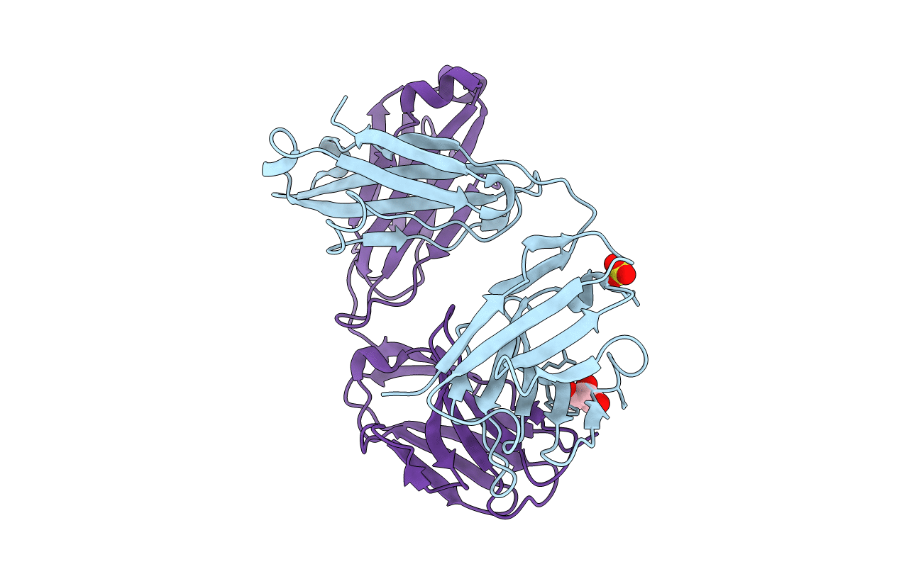 5I1E image