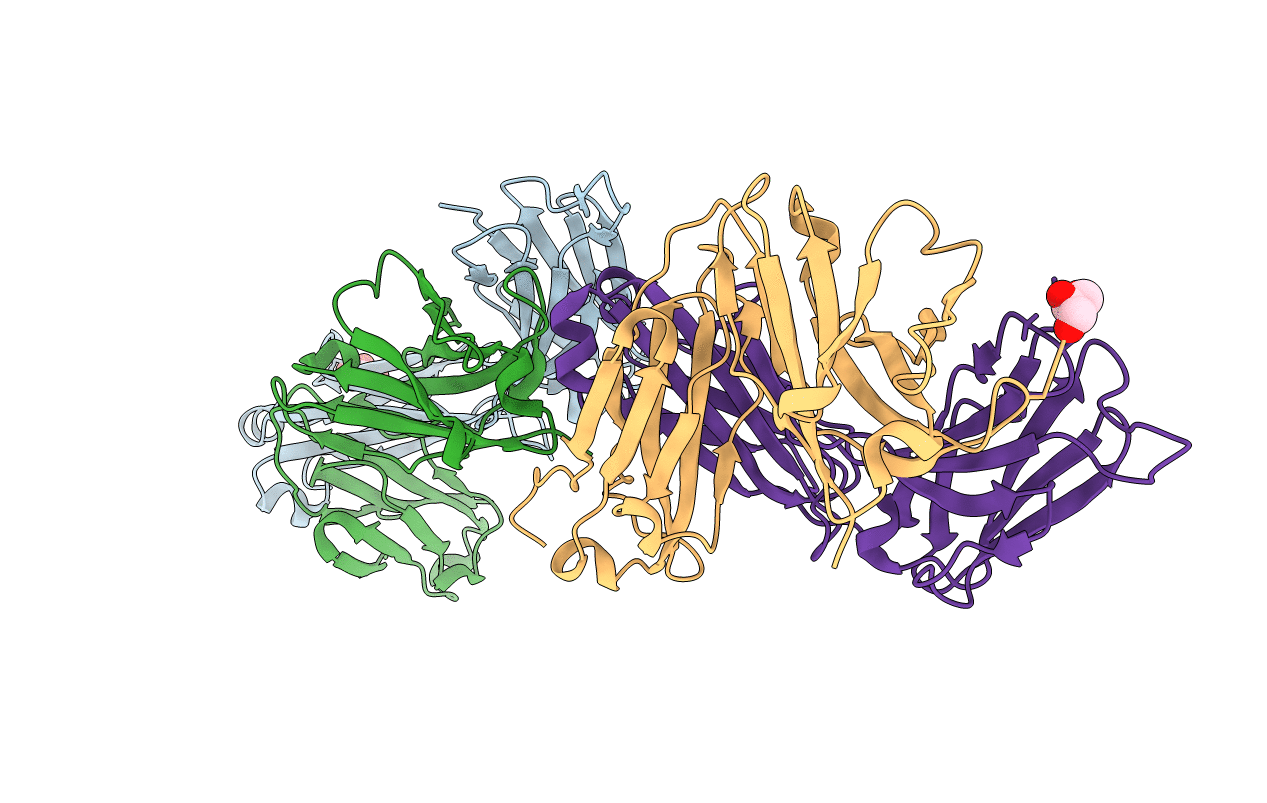 5I1L image
