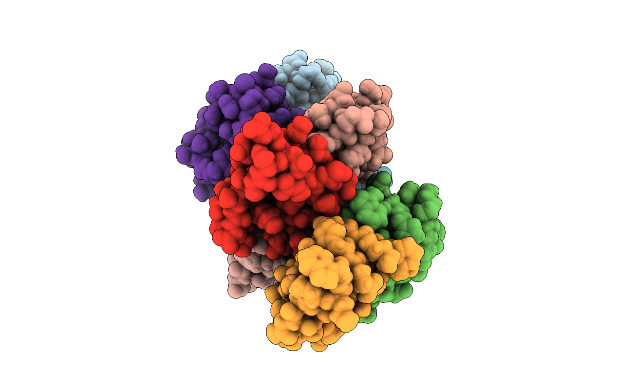 5I1N image