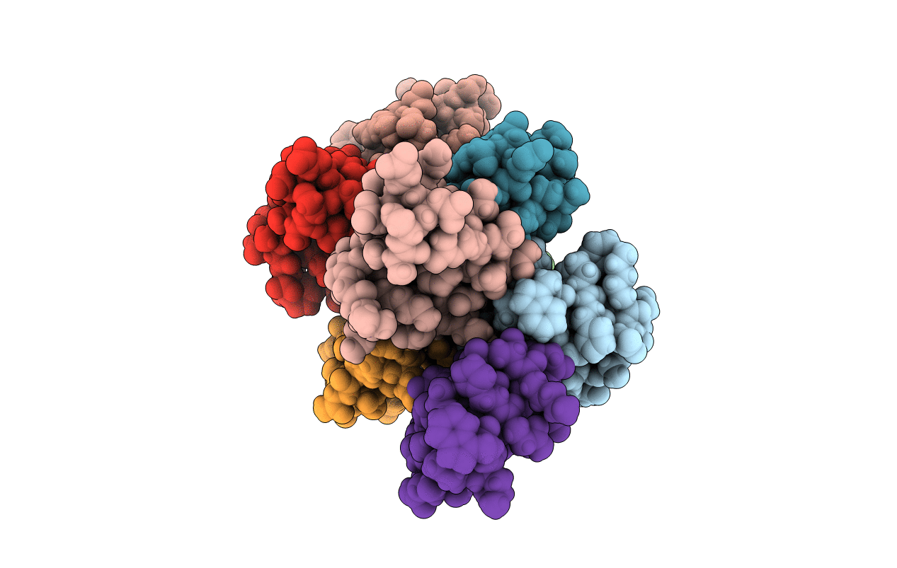 5I1O image