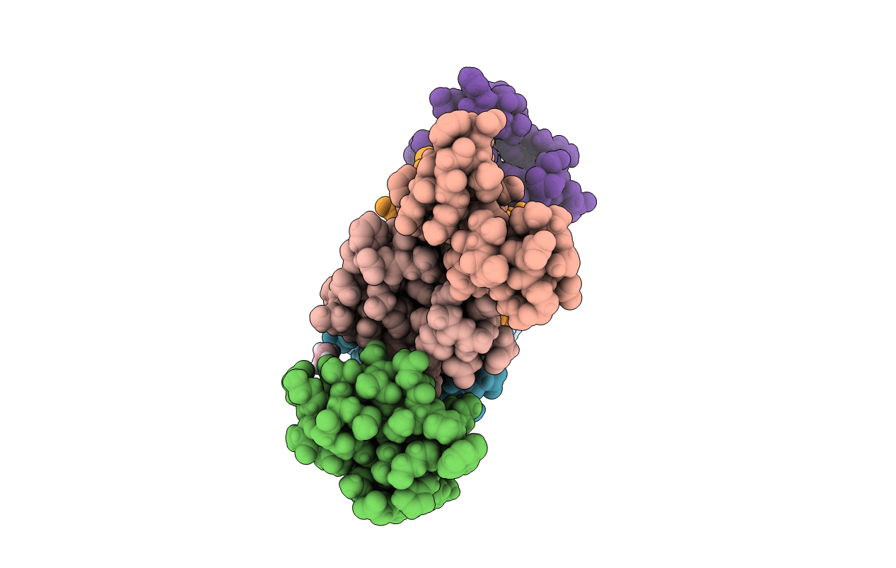 5I1P image