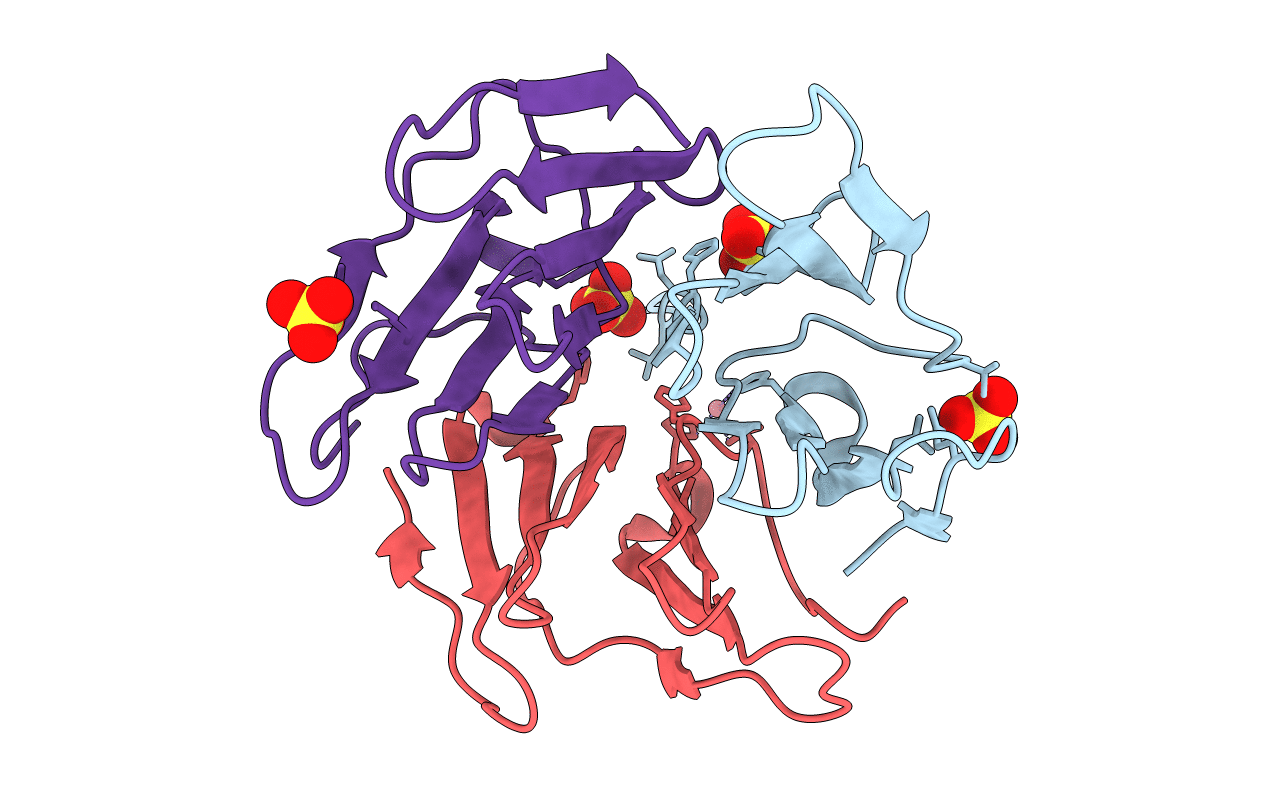 5I1Y image