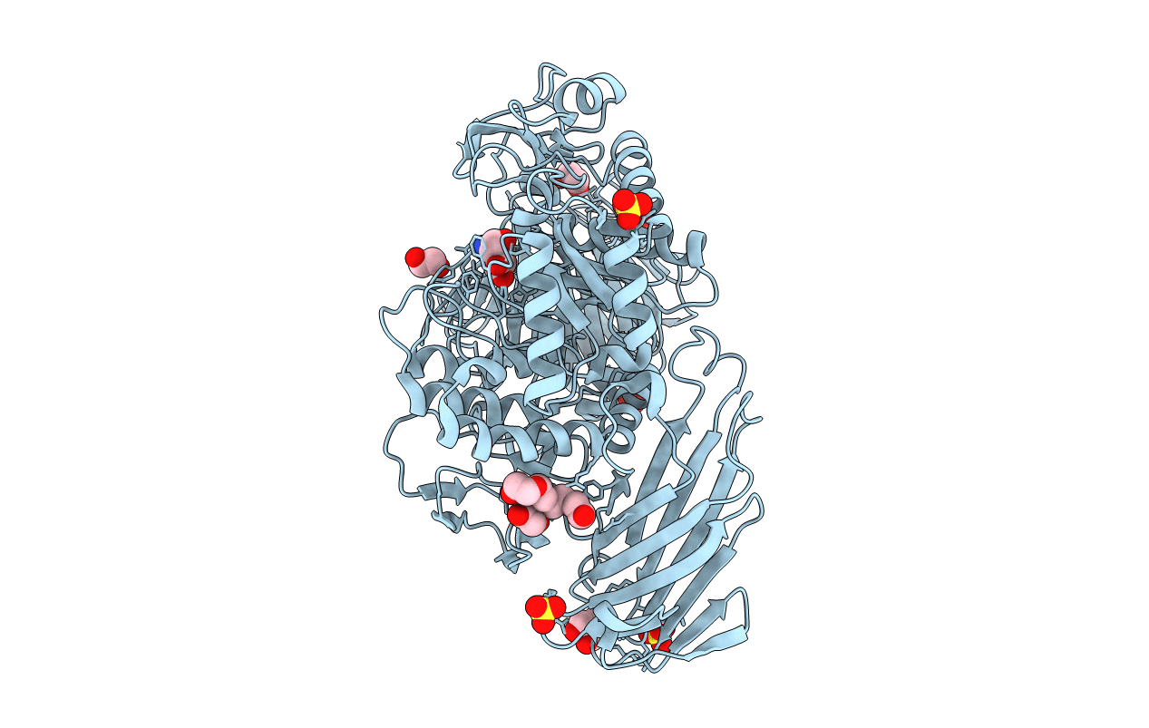 5I24 image