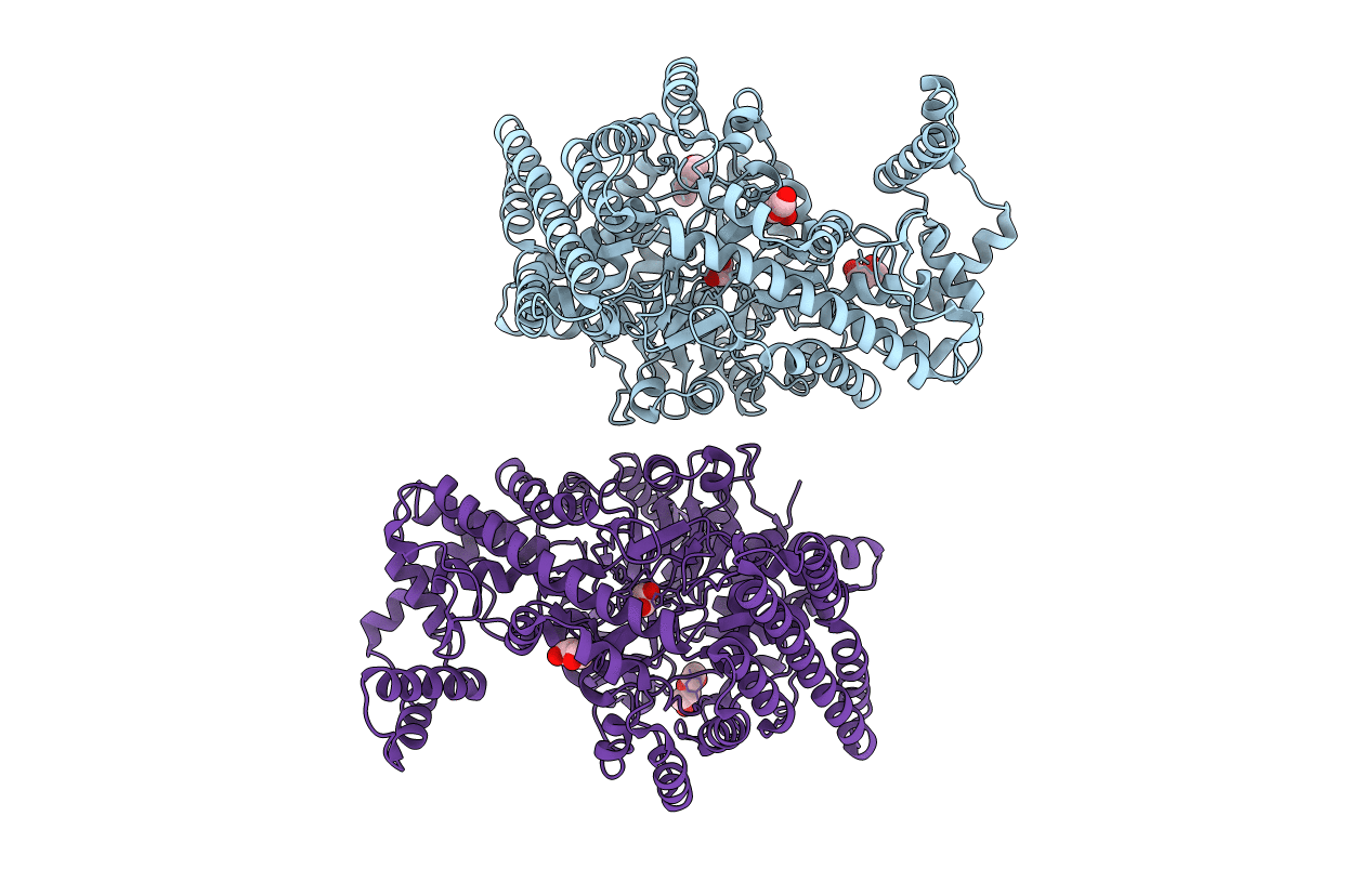 5I2A image