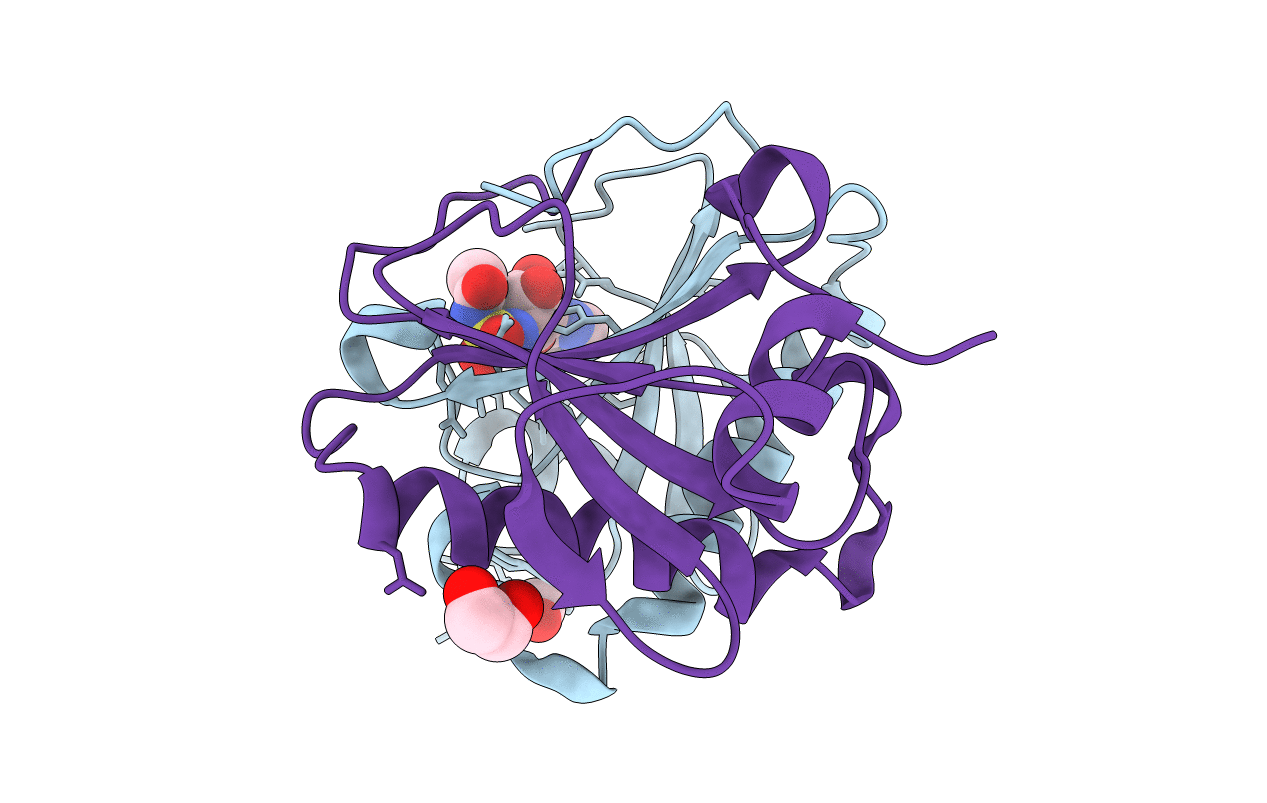 5I2F image