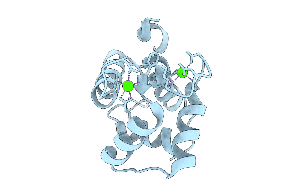 5I2L image