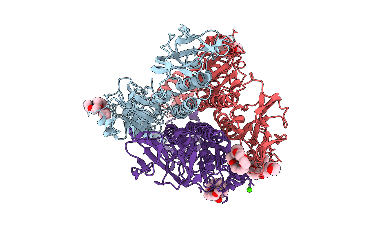 5I2M image