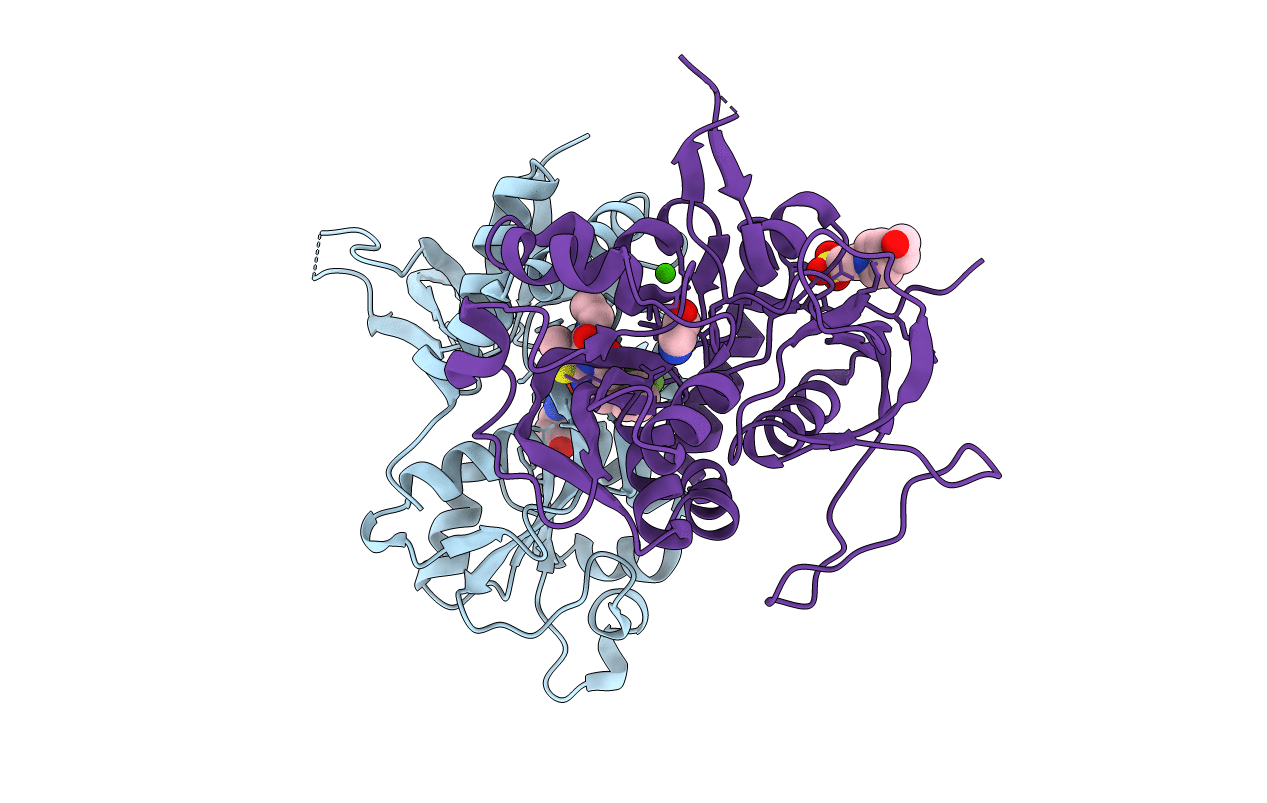 5I2N image