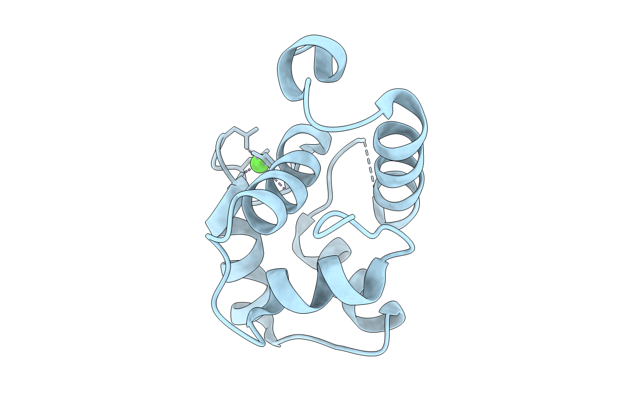5I2O image