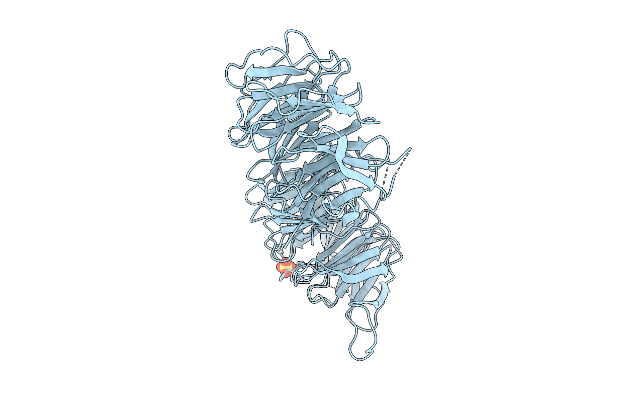 5I2T image