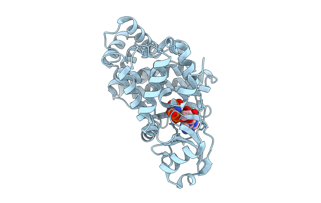 5I35 image