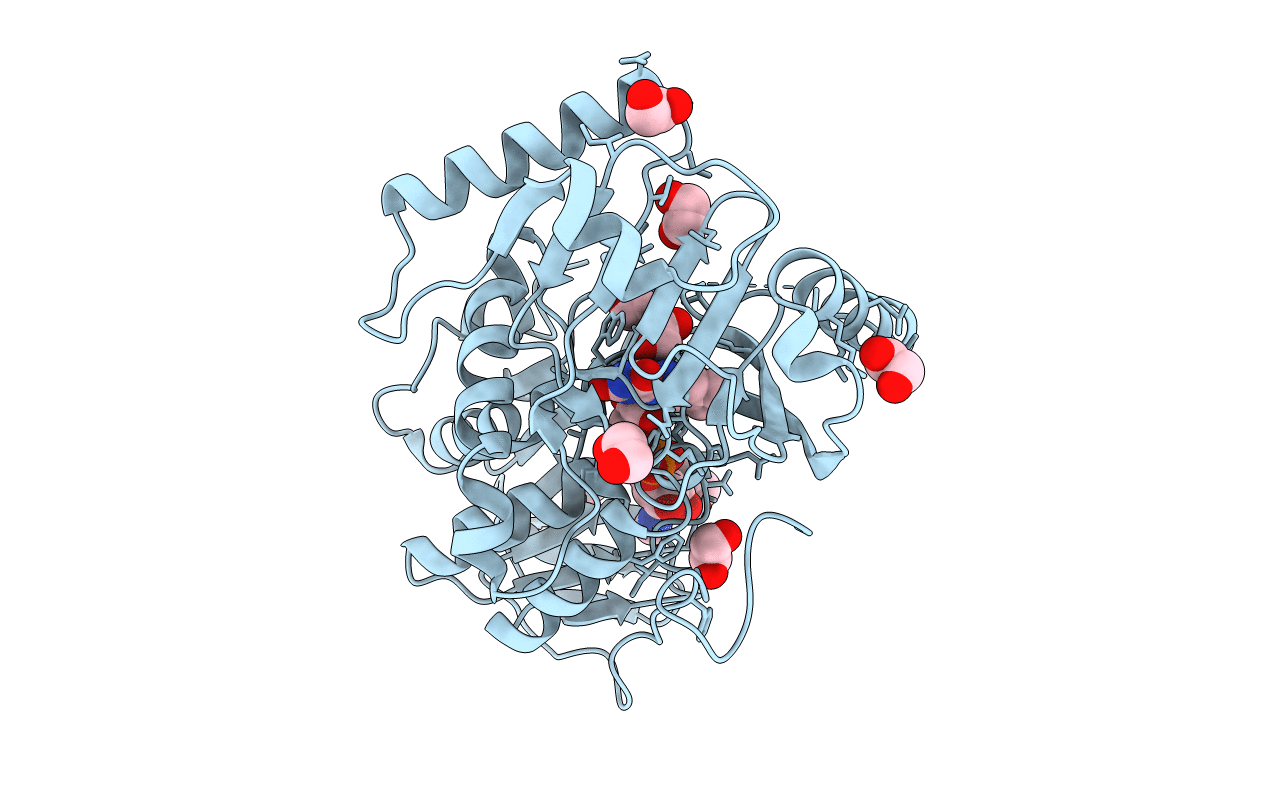 5I39 image