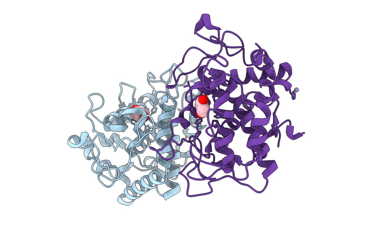 5I3B image
