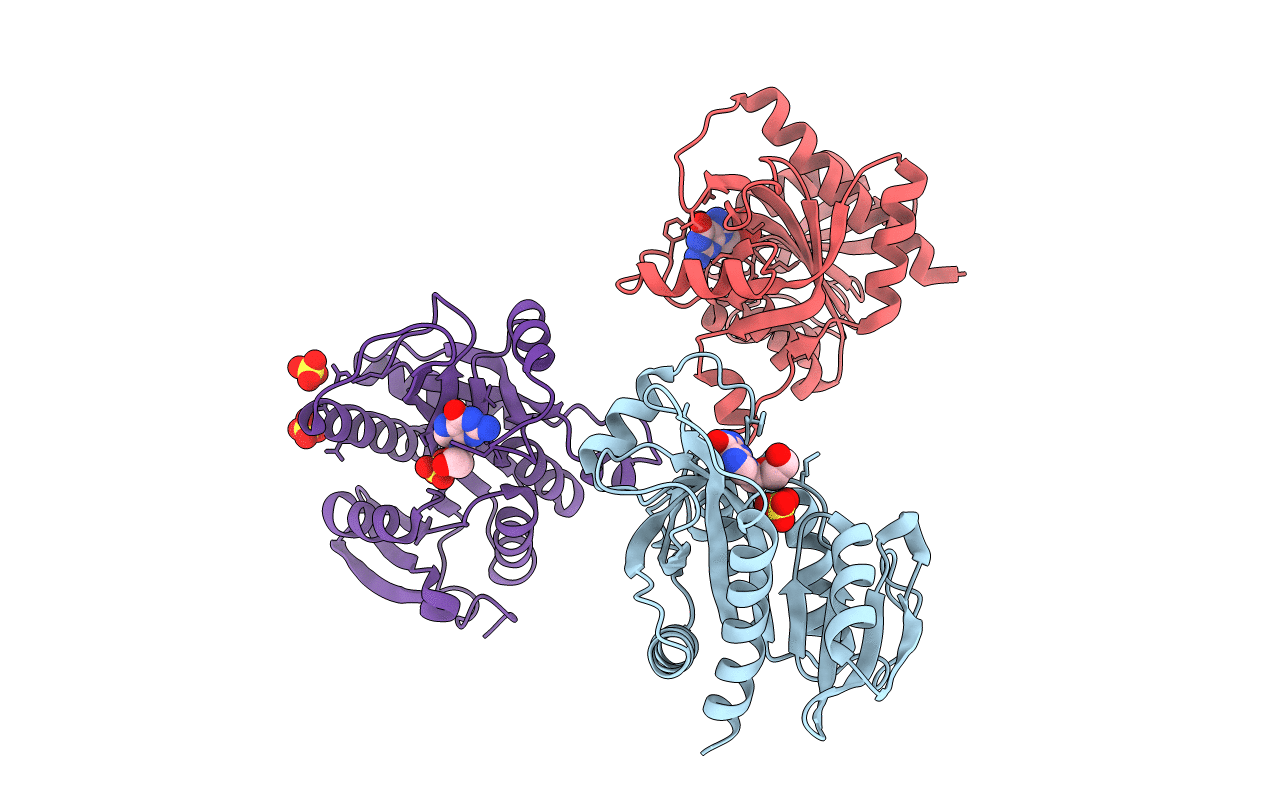 5I3C image