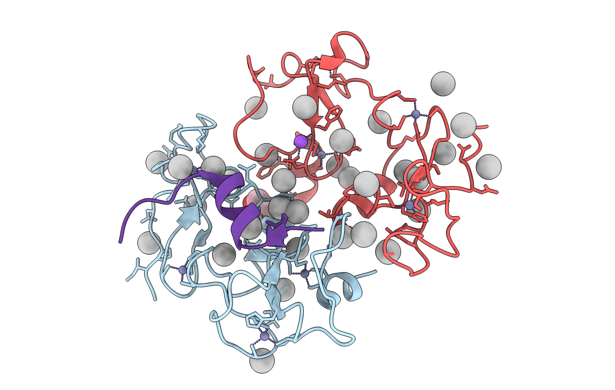 5I3L image