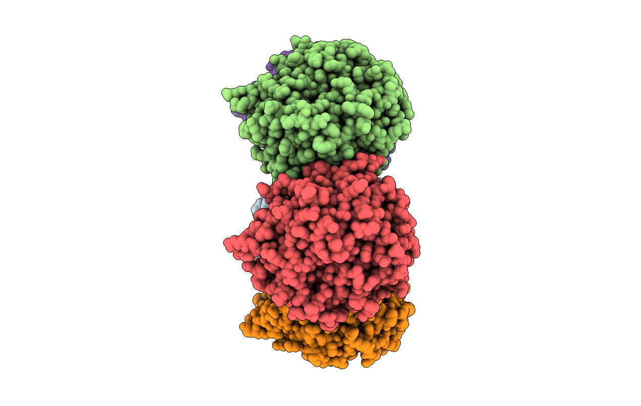 5I3T image