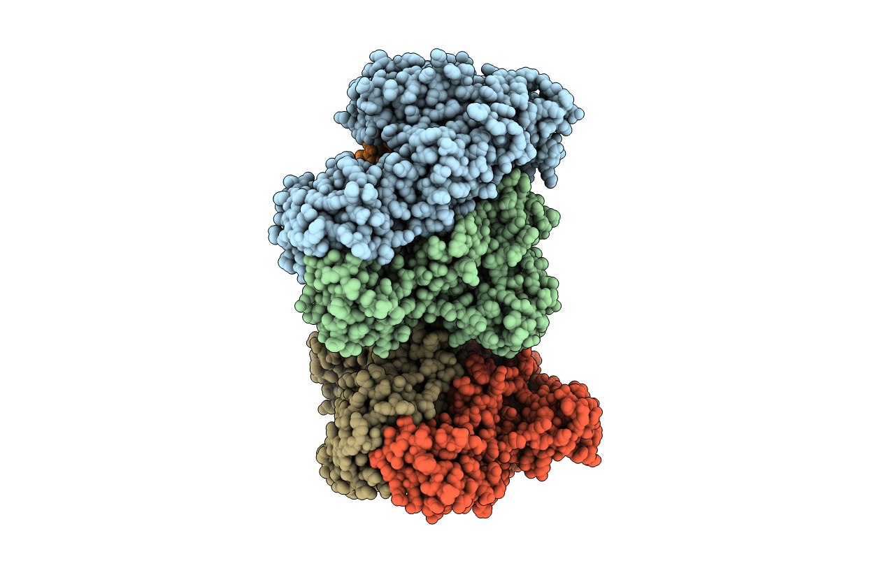 5I42 image