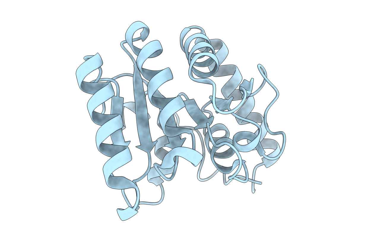 5I45 image