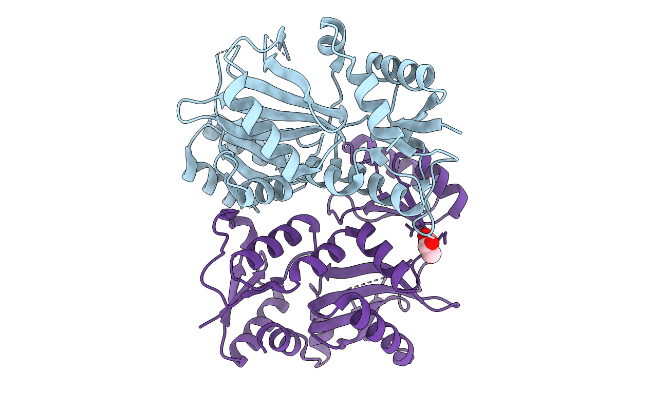 5I47 image