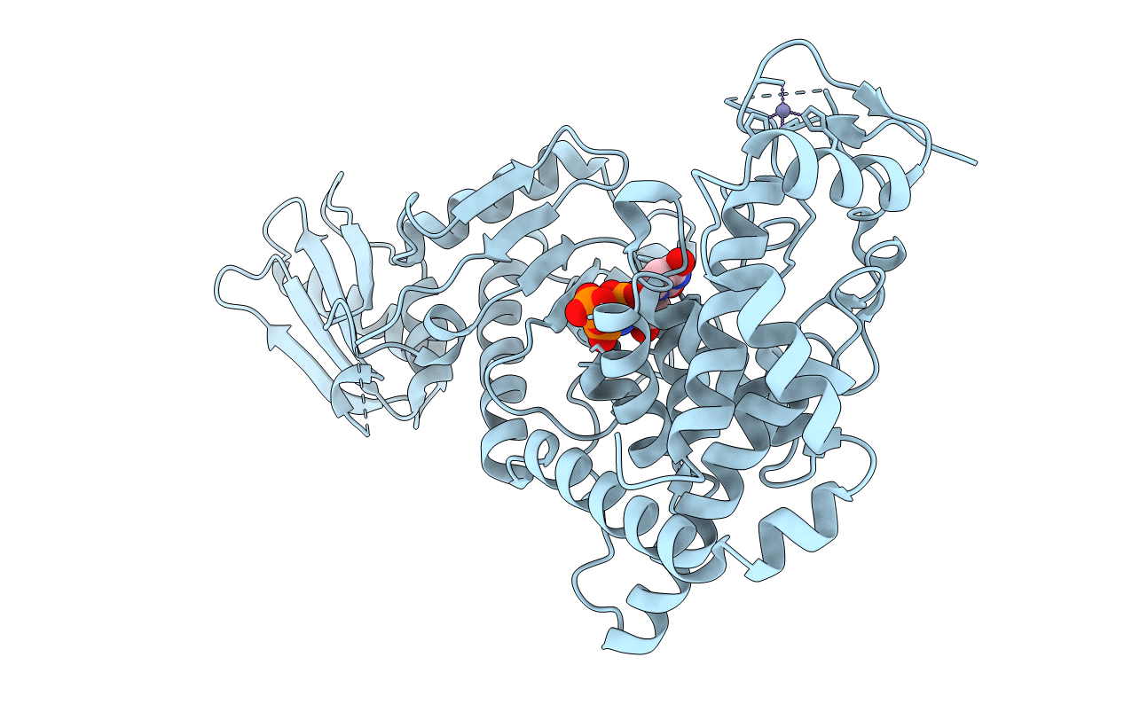 5I49 image