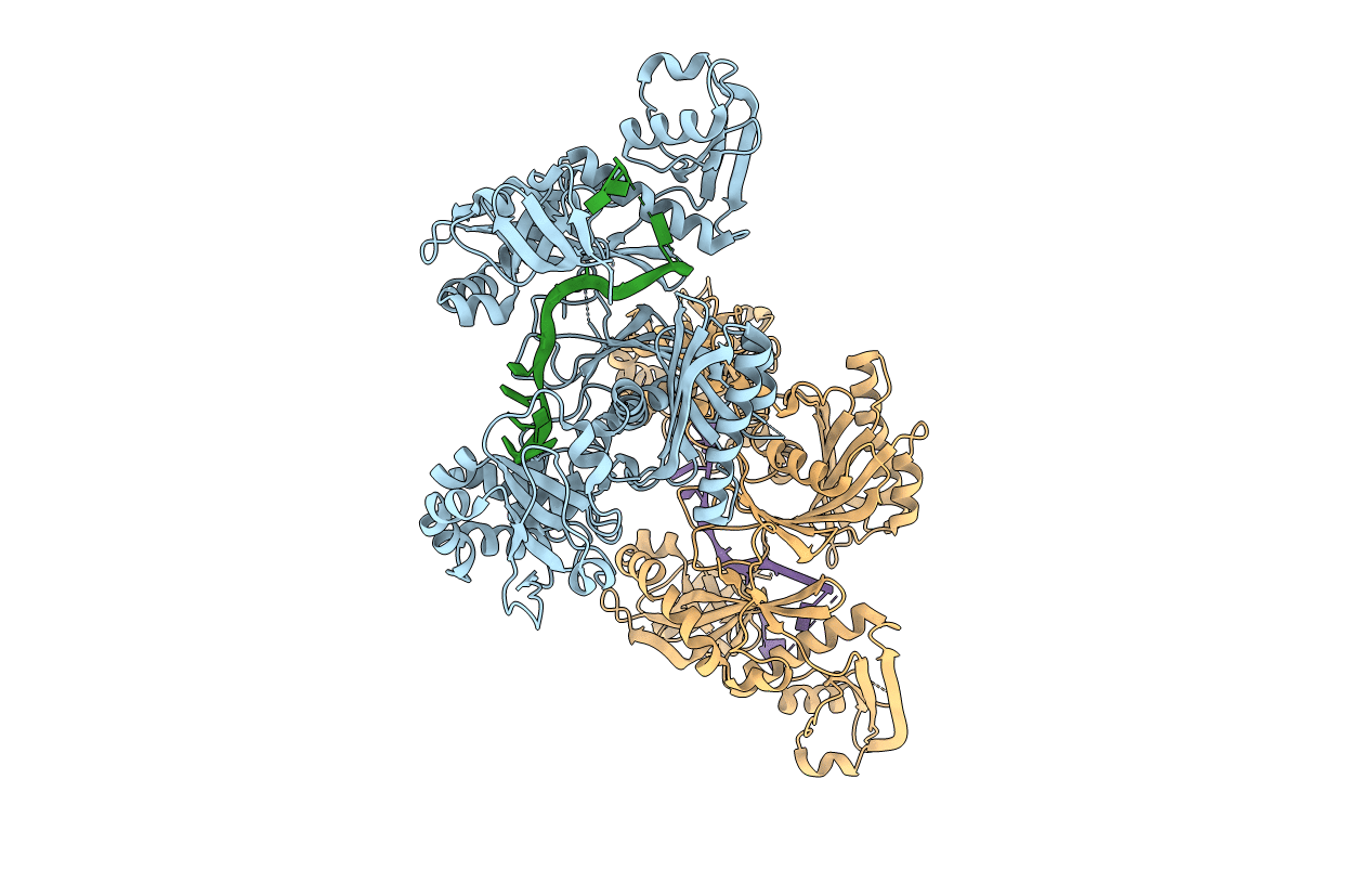 5I4A image