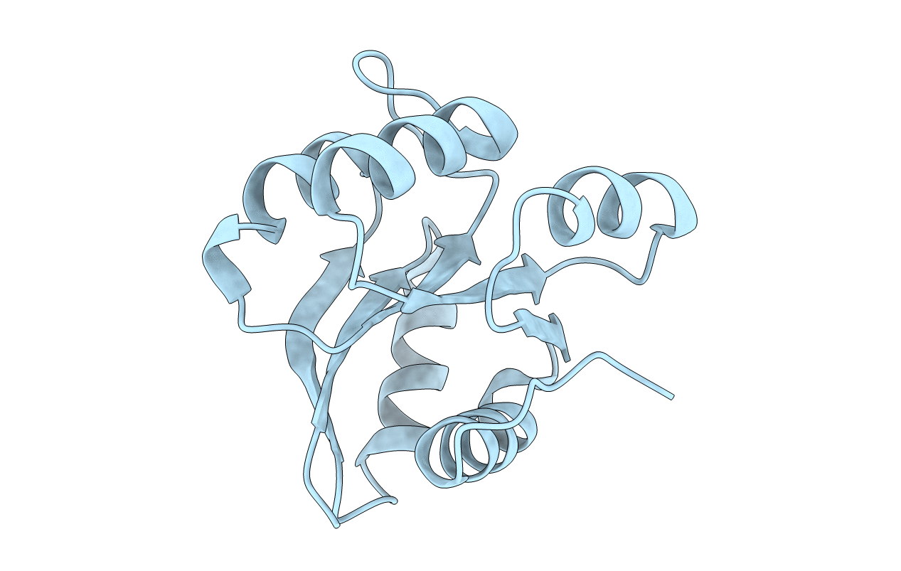 5I4C image
