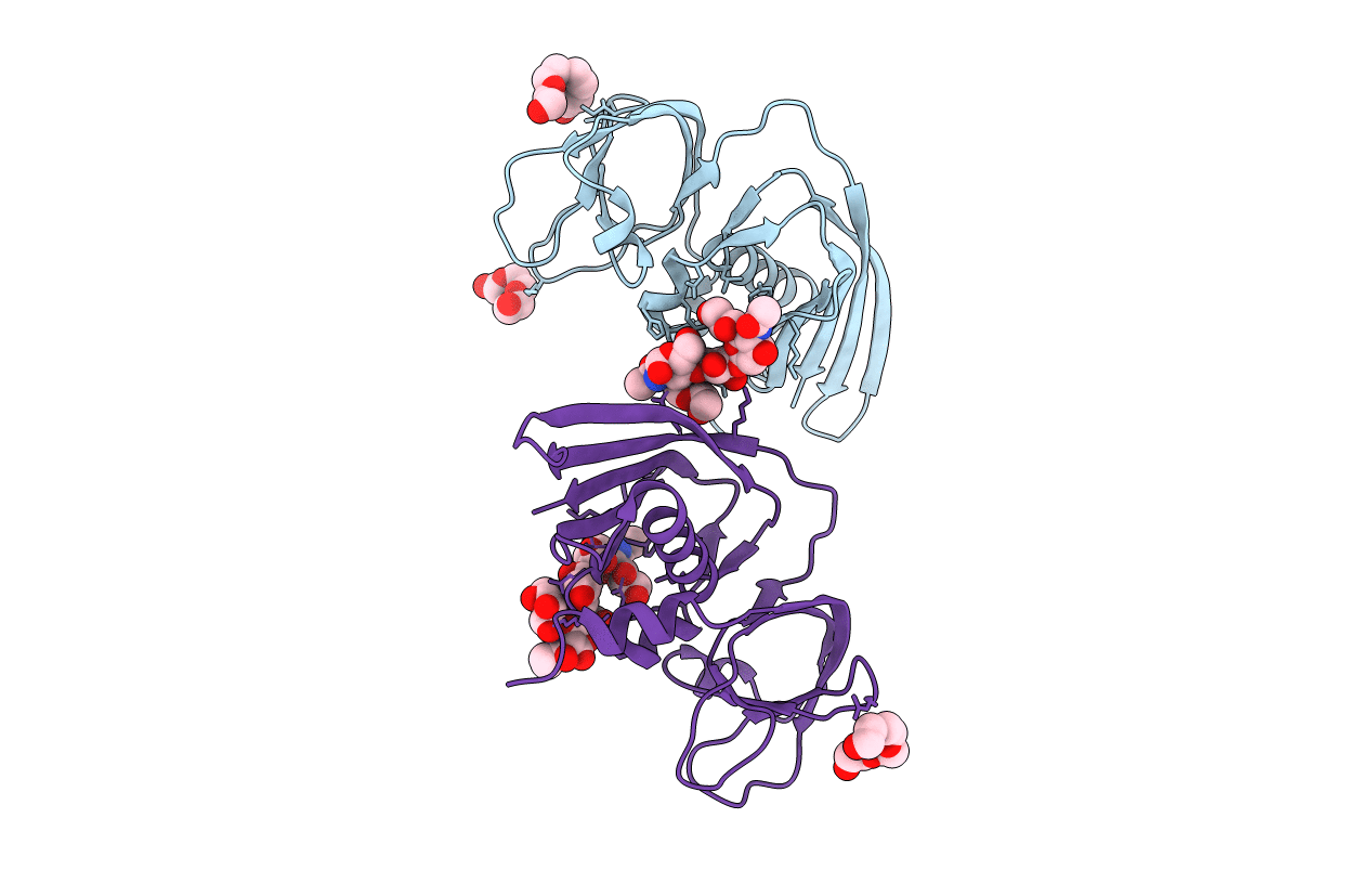 5I4D image