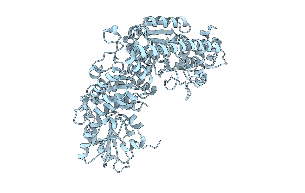5I4I image