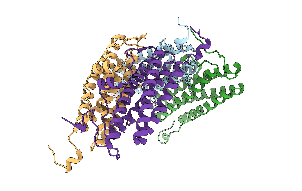 5I4J image