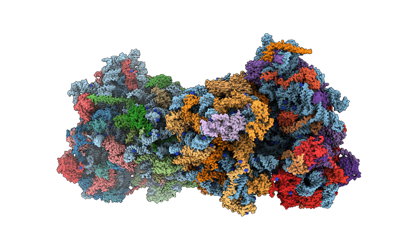 5I4L image