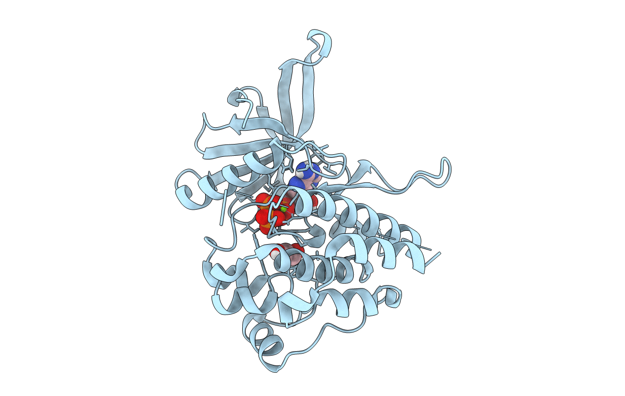 5I4N image