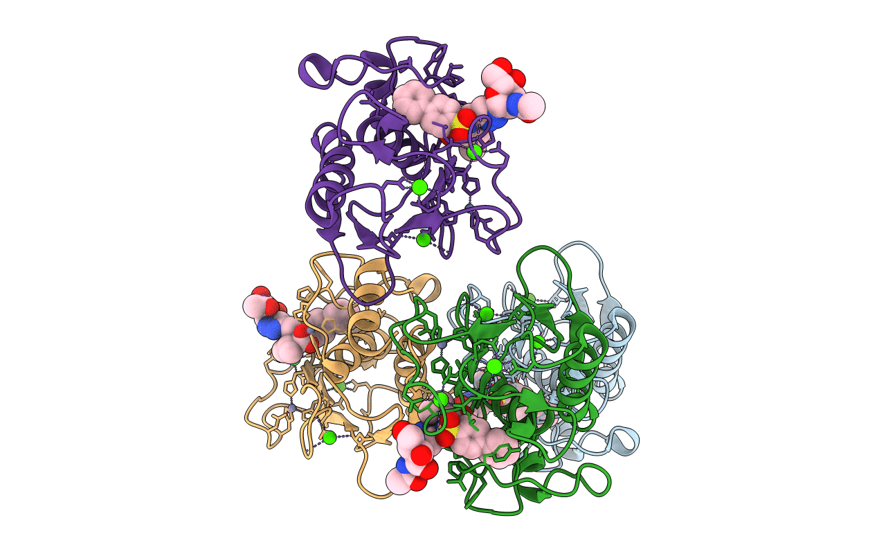 5I4O image