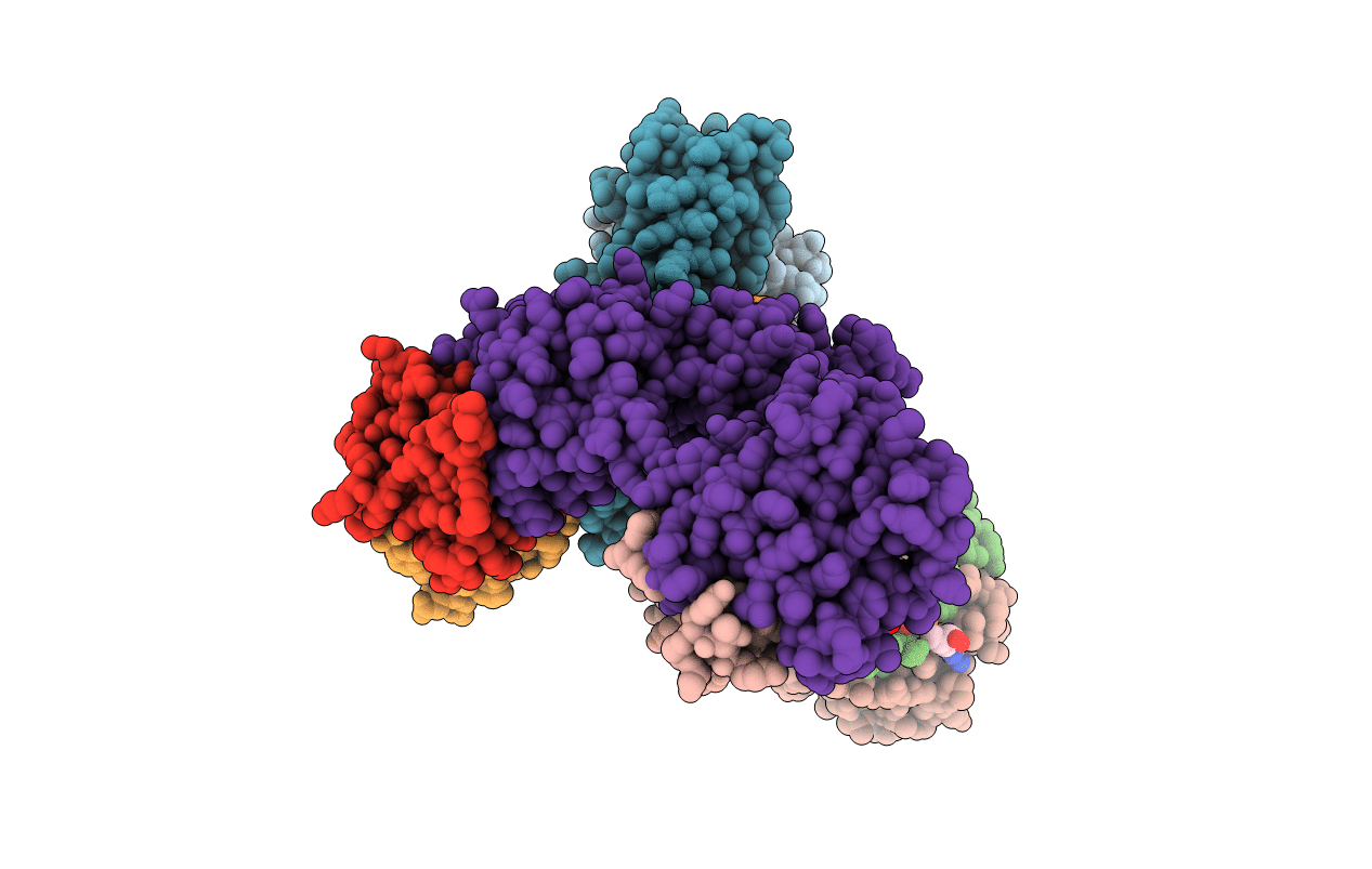 5I4R image