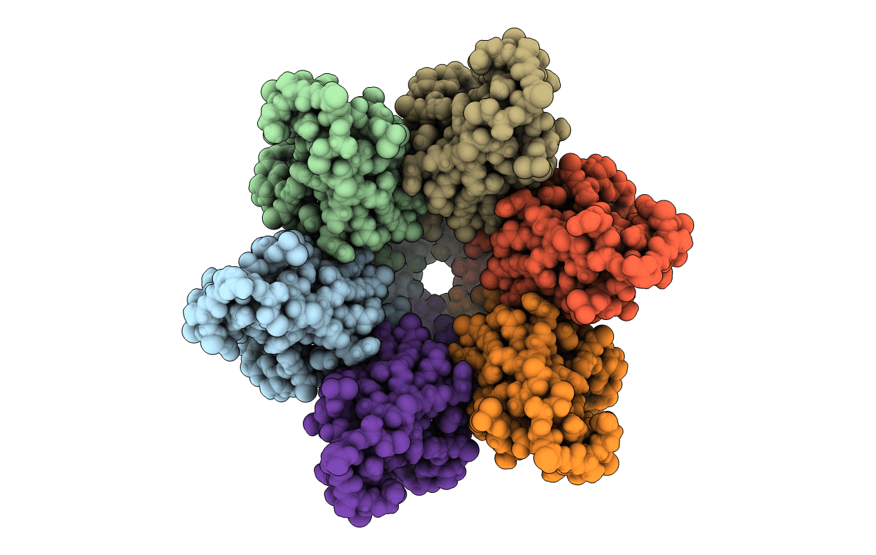 5I4T image
