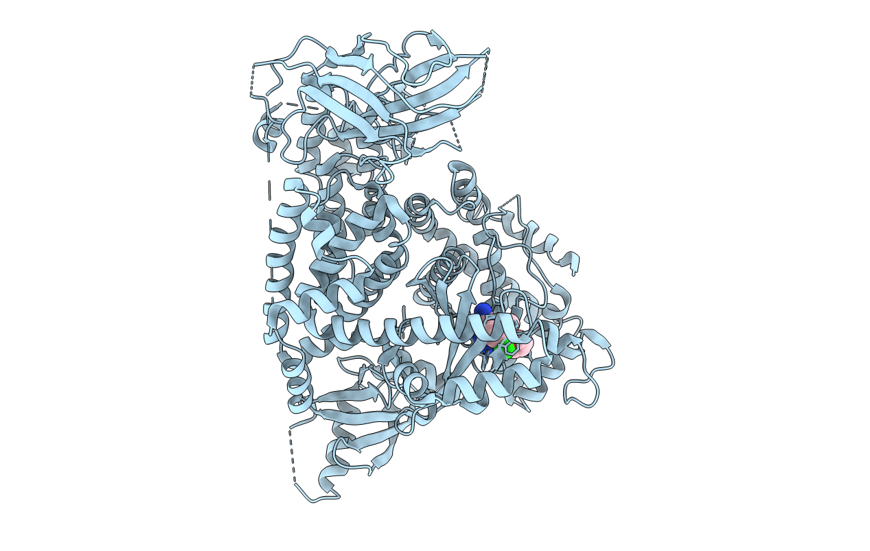 5I4U image